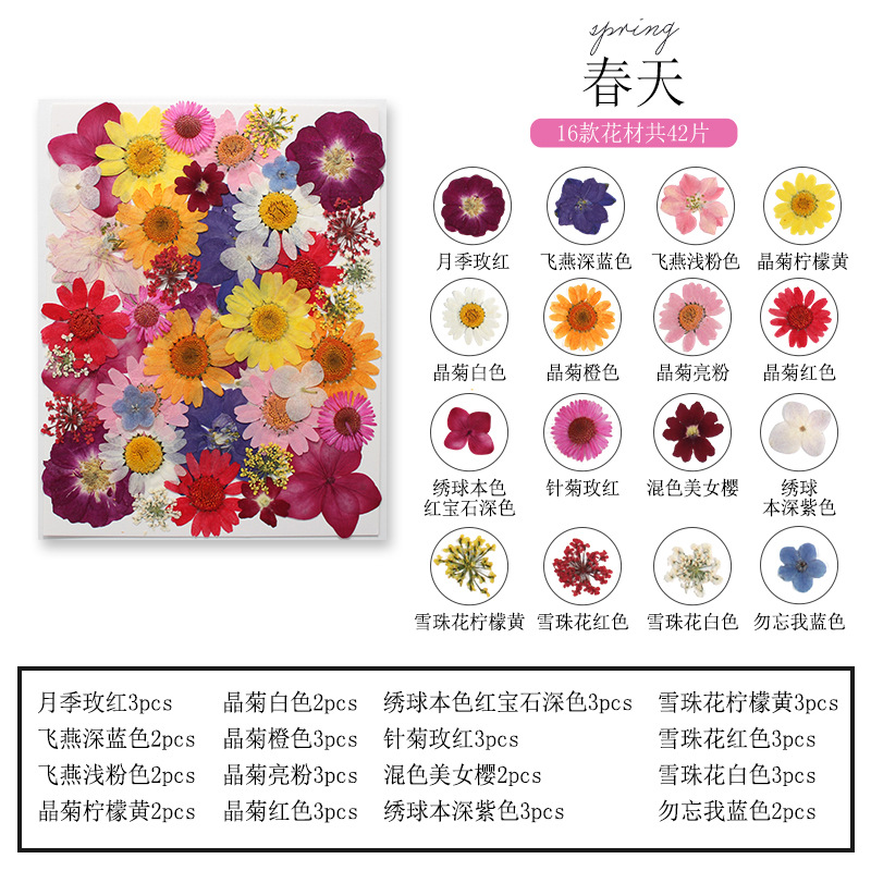 Juego de Marcapáginas de Flore - Dried Flower Bookmark reseña y precio